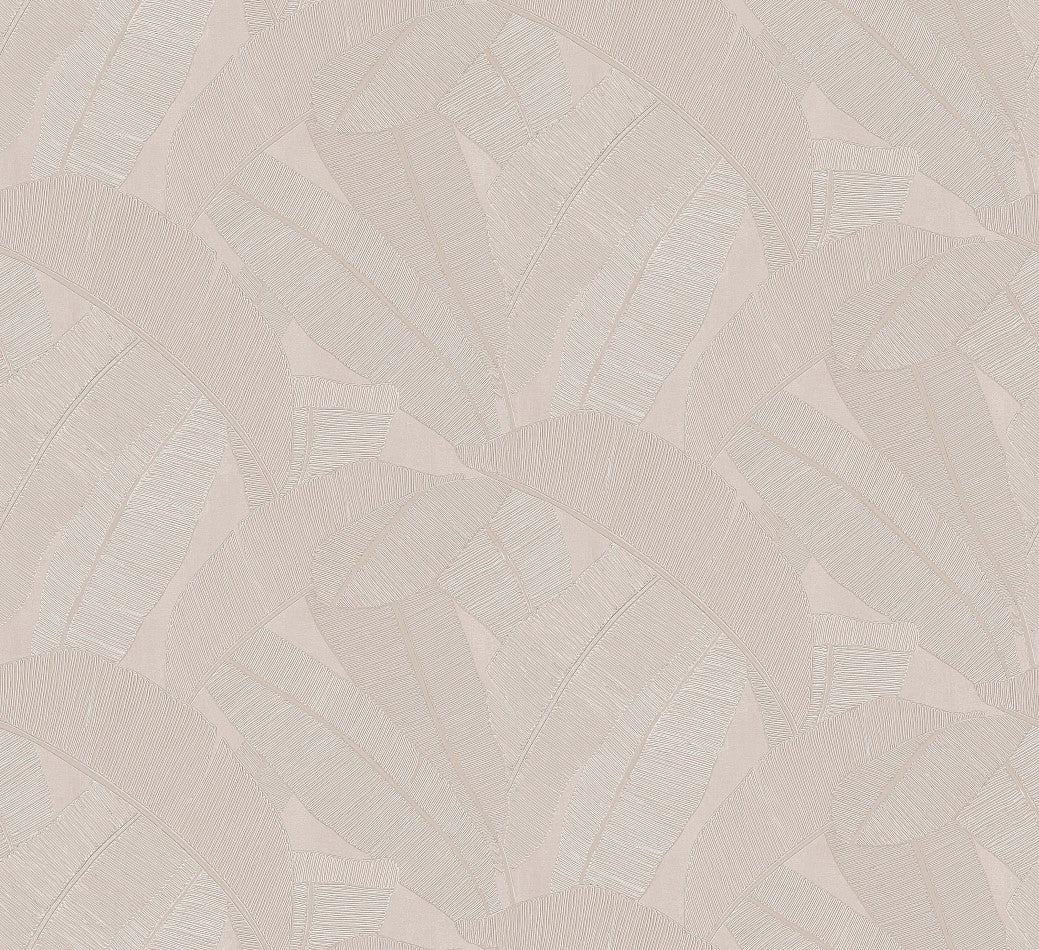 Banyan Palm Wallpaper