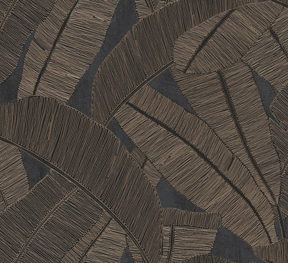 Banyan Palm Wallpaper