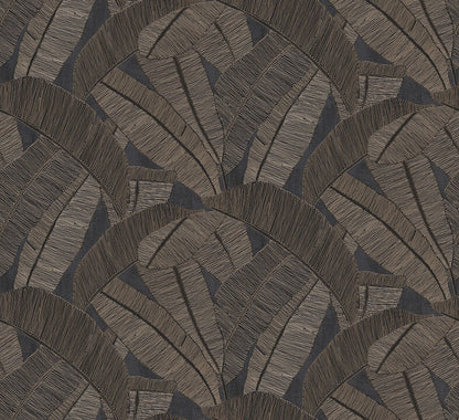 Banyan Palm Wallpaper