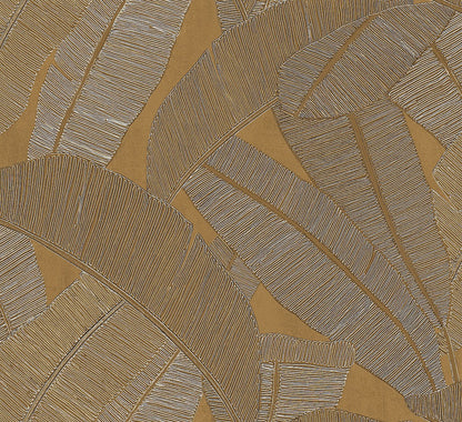 Banyan Palm Wallpaper