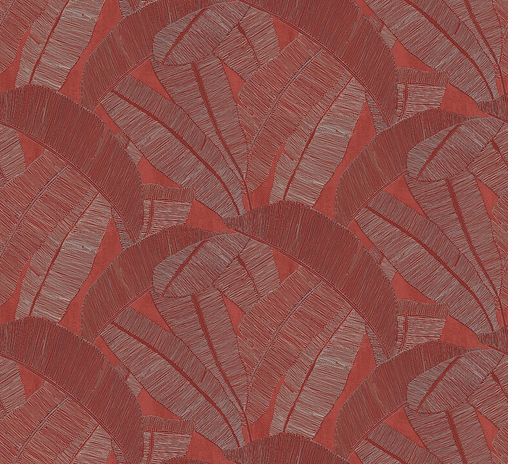 Banyan Palm Wallpaper