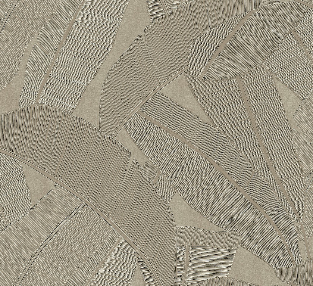 Banyan Palm Wallpaper