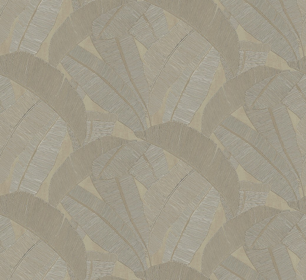 Banyan Palm Wallpaper