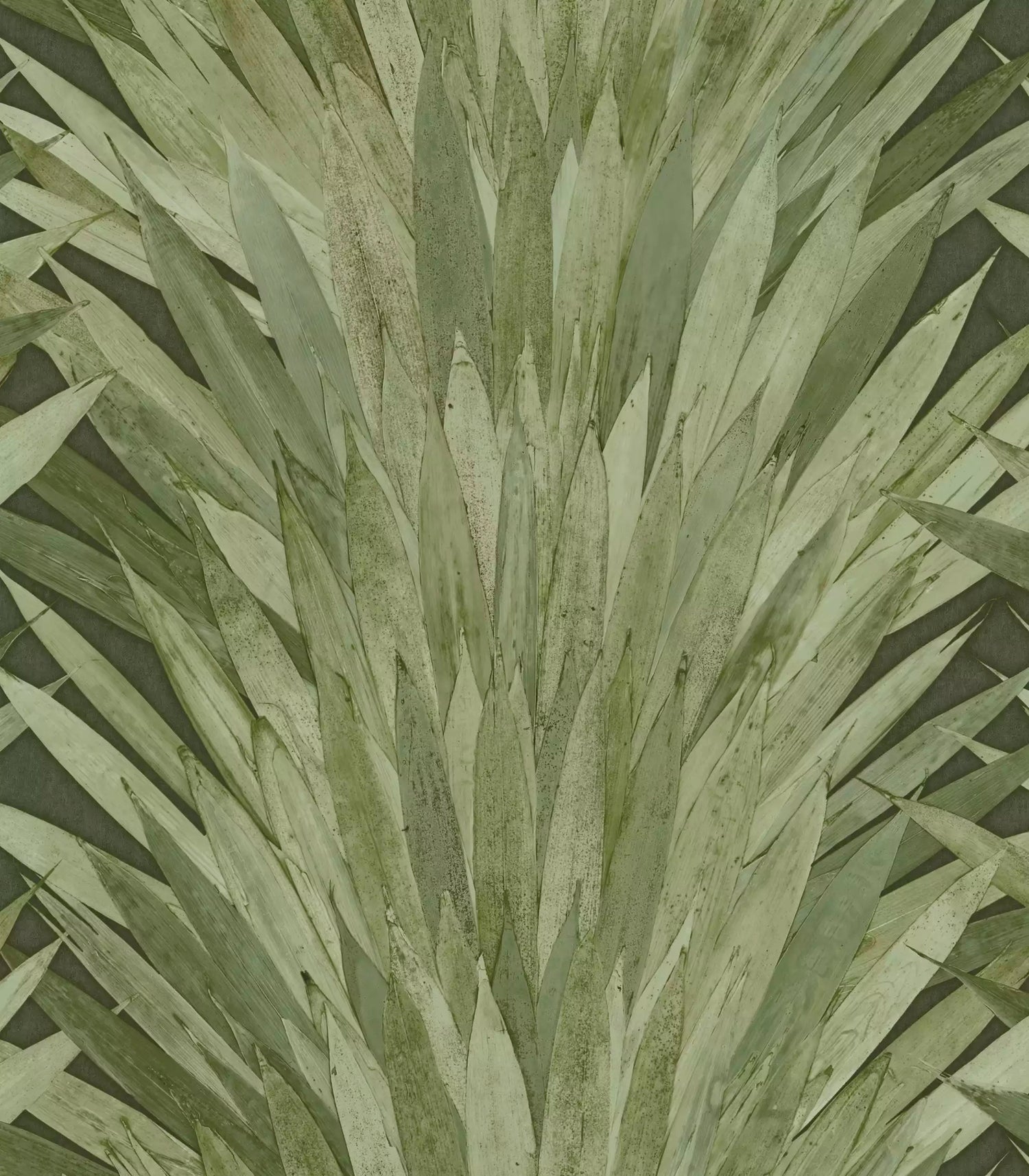 Abanico Leaf Wallpaper