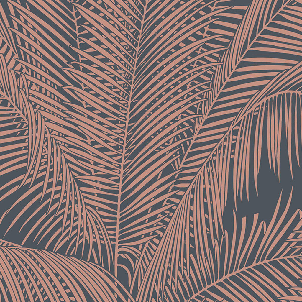 Sabal Palm Wallpaper