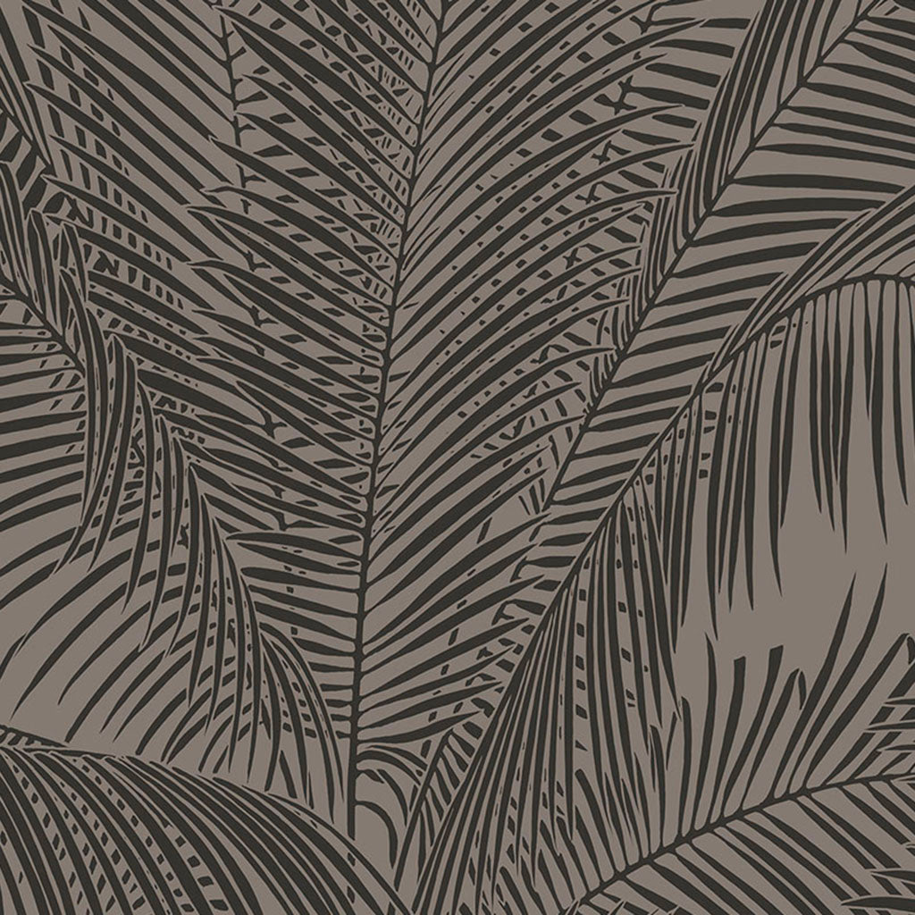 Sabal Palm Wallpaper