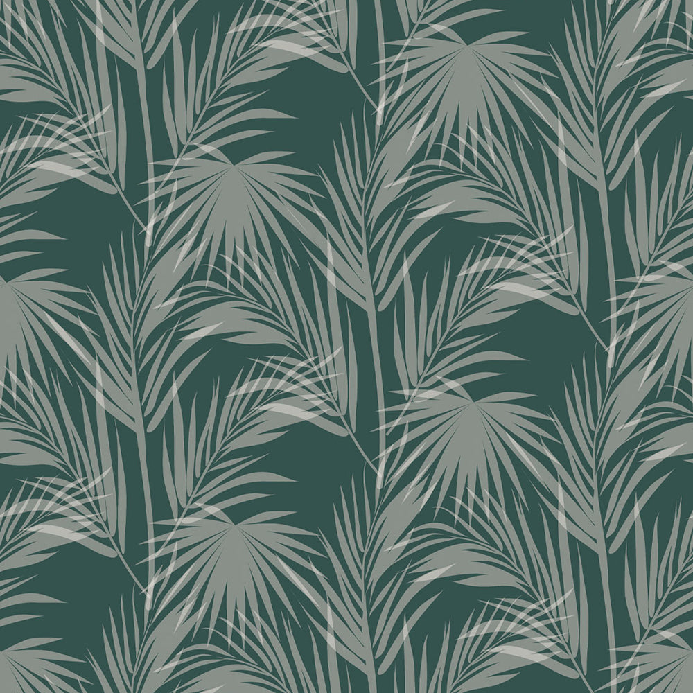 Daintree Wallpaper – Wallpaper Lane