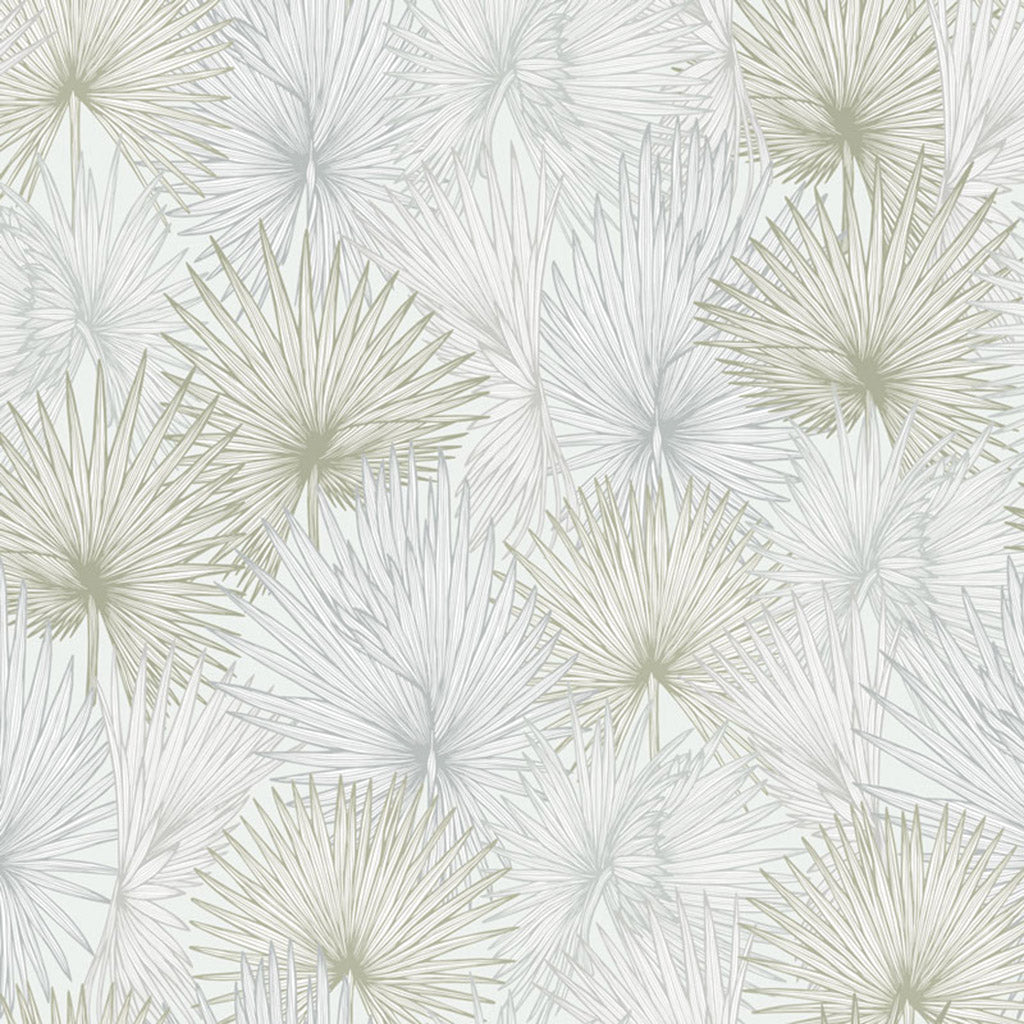 Nobilis Palm Wallpaper
