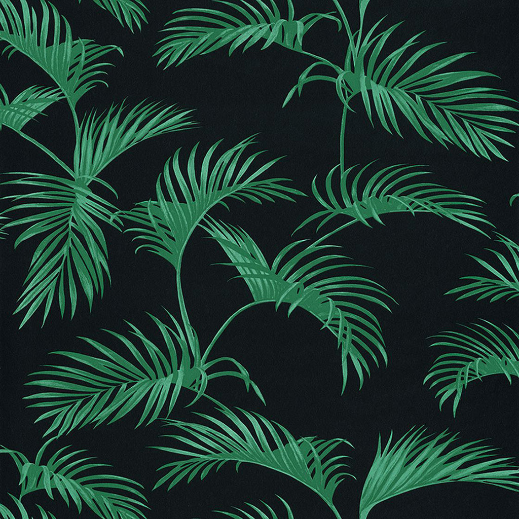 Palmes Wallpaper