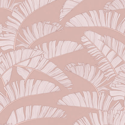 Summer Palm Wallpaper