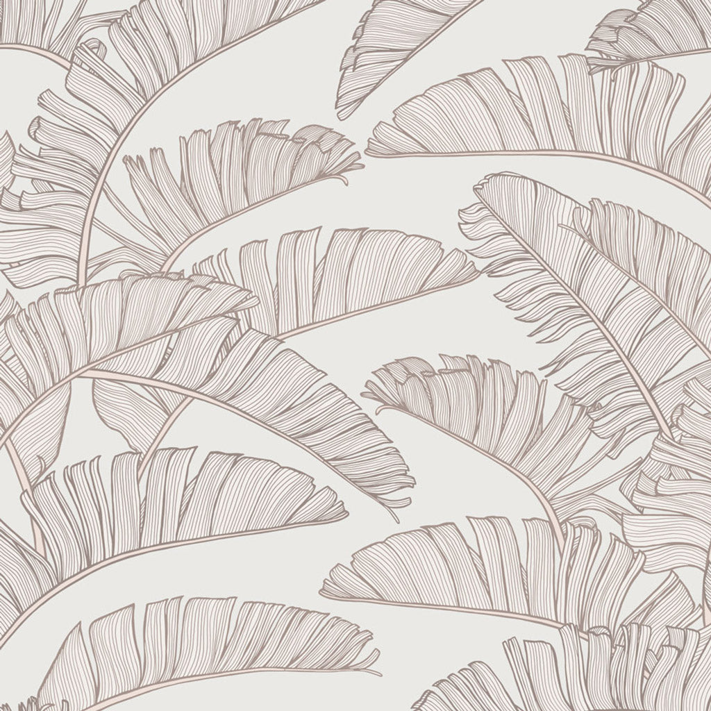 Summer Palm Wallpaper