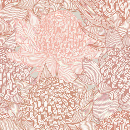 Telopea Bloom Wallpaper