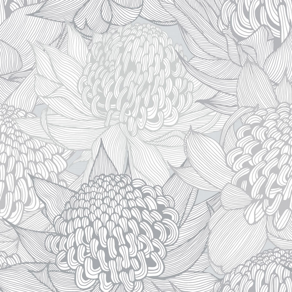 Telopea Bloom Wallpaper