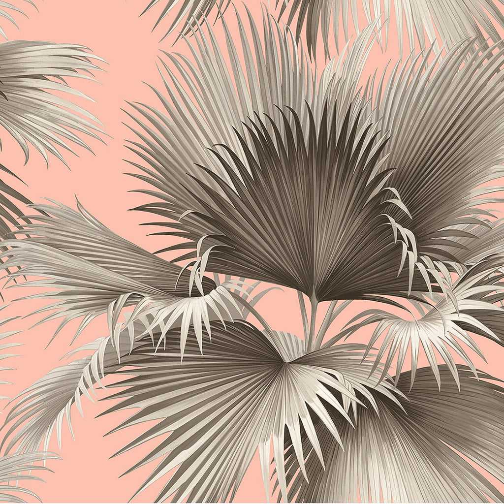 Pink Palms Wallpaper Mural  Limited Abode